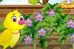 ��԰������