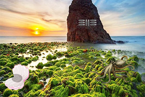 Ψ����̲����