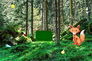 �ɰ���������