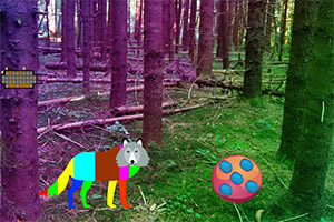 �ʺ��������