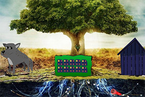 ����ȸ��4