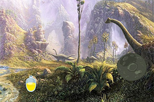 ����ɭ�ֿ�����