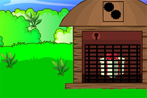 �����ܶ�����