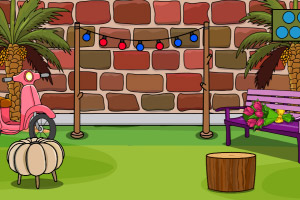 ��ȸ������