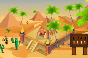 Ѱ��ɳĮ����