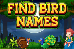 ƴд���൥��