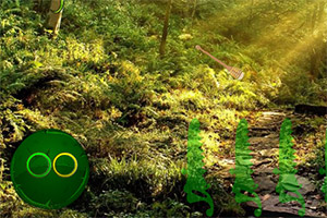 ��Ԯ��è������