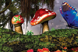 �Ϲ�Ů������