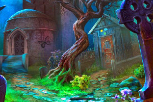 ���ȱ�������è