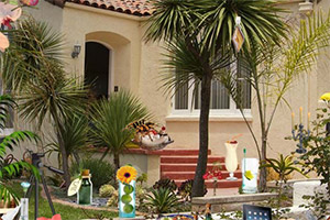 ���ȵ�����