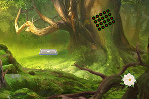 ��Ԯ��Ů����