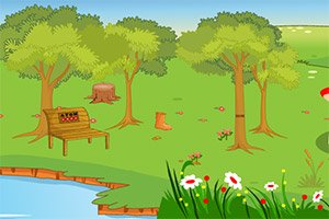 ���С����