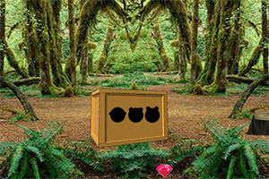 ��Ԯɭ��С��