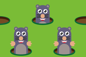 ���ٴ����