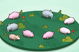 ��������ս