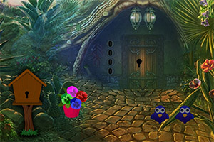 ����Ŵ���ַ