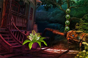 ��Ԯ�ɰ���Ů��