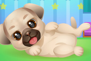 ������С����