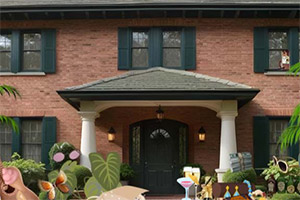 �����ھ�