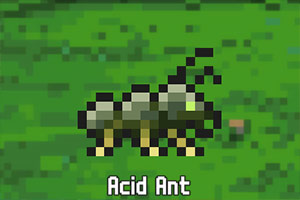 ɭ�ֵ��ð��