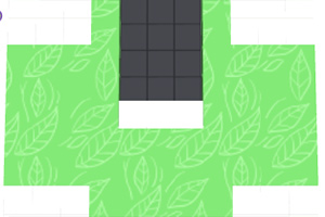 ������ɫ���